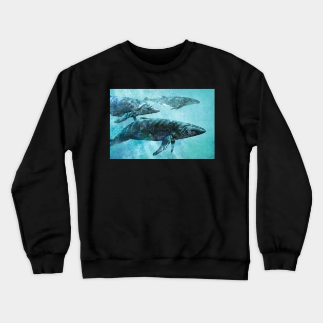 Pod Crewneck Sweatshirt by Terry Fan